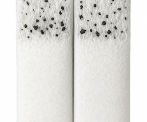 carbon filter